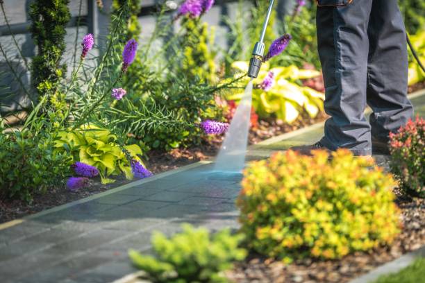 Best Dumpster Area Cleaning  in Hilliard, FL